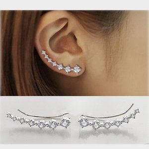 Sterling Sliver Caterpillar Earrings